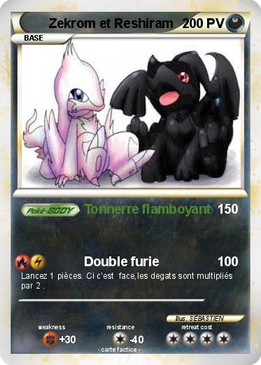 Pokemon Zekrom et Reshiram