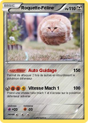 Pokemon Roquette-Féline
