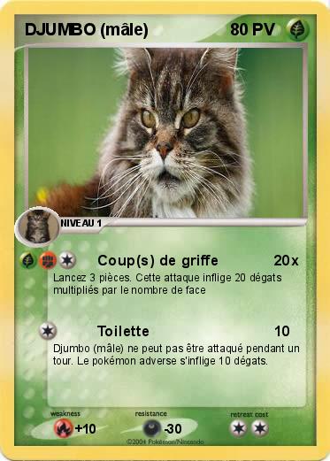 Pokemon DJUMBO (mâle)