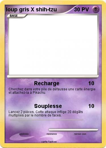 Pokemon loup gris X shih-tzu