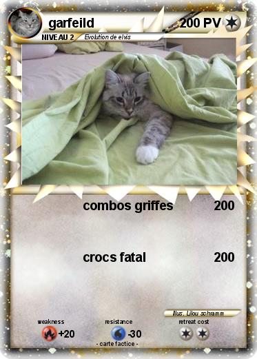 Pokemon garfeild