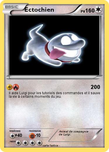 Pokemon Ectochien