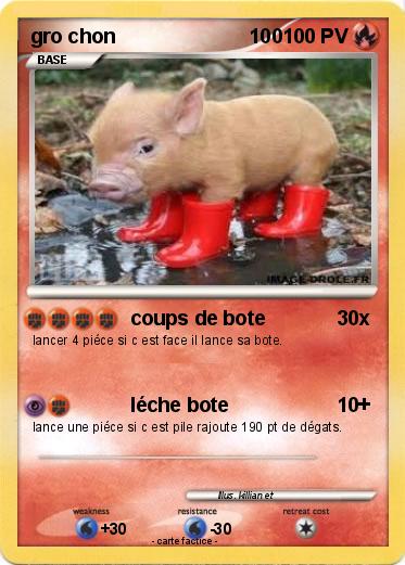 Pokemon gro chon                        100