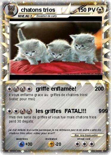 Pokemon chatons trios