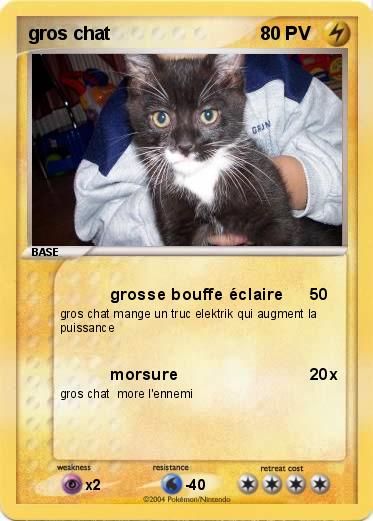 Pokemon gros chat