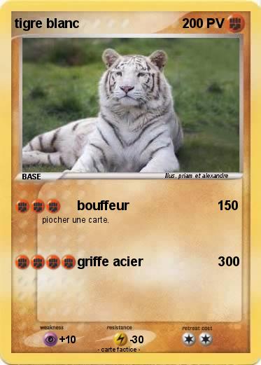 Pokemon tigre blanc