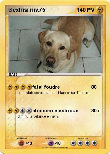Pokemon elextrisi niv.75