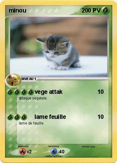 Pokemon minou