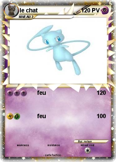 Pokemon le chat