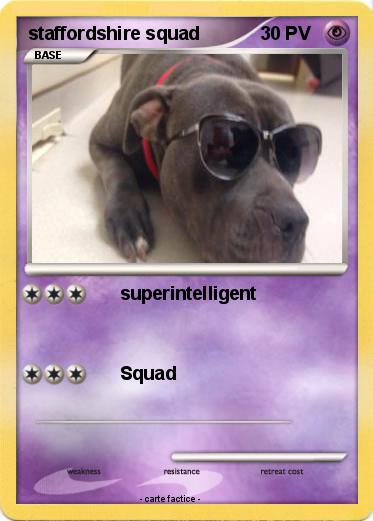 Pokemon staffordshire squad