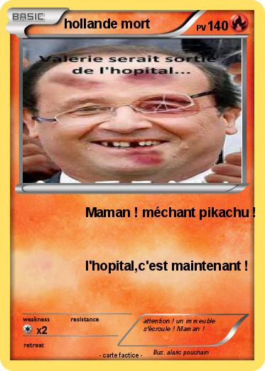 Pokemon hollande mort