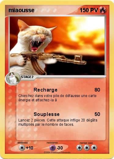 Pokemon miaousse 