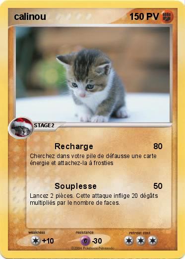 Pokemon calinou