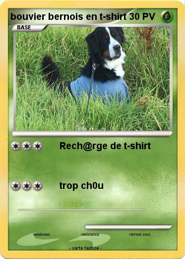 Pokemon bouvier bernois en t-shirt