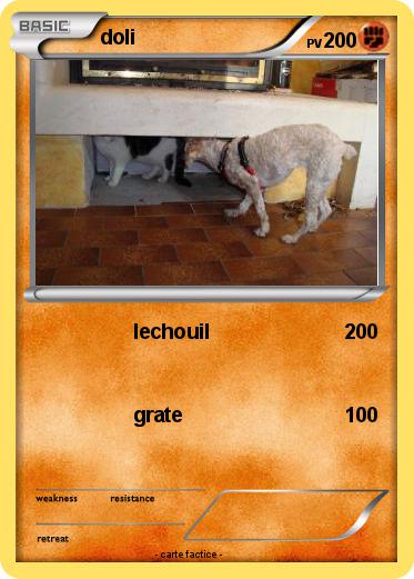 Pokemon doli