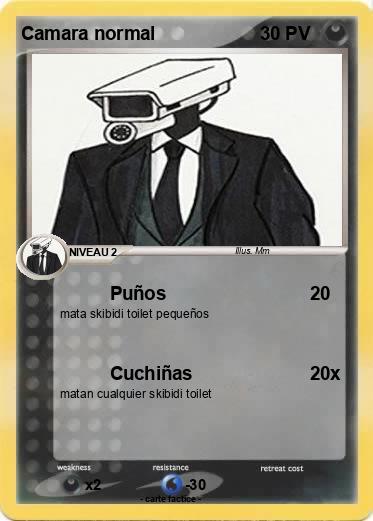 Pokemon Camara normal