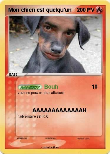 Pokemon Mon chien est quelqu'un