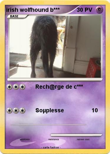 Pokemon irish wolfhound b***
