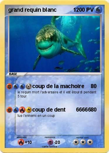 Pokemon grand requin blanc           1