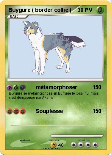 Pokemon Buygüre ( border collie )