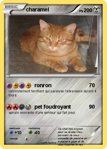 Pokemon charamel
