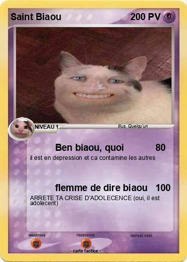 Pokemon Saint Biaou