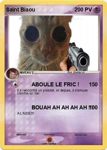 Pokemon Saint Biaou