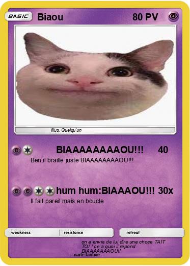 Pokemon Biaou