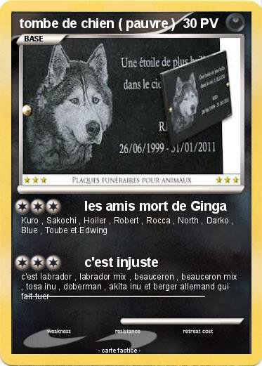 Pokemon tombe de chien ( pauvre )
