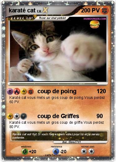 Pokemon karaté cat