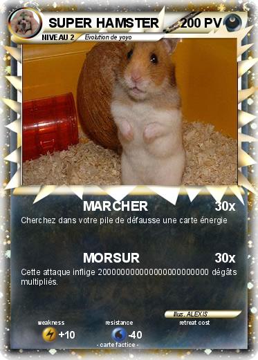 Pokemon SUPER HAMSTER