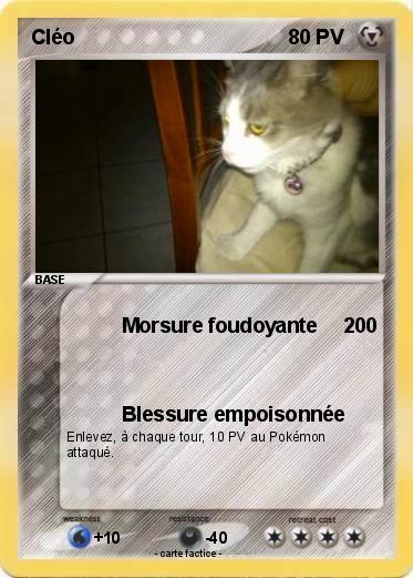 Pokemon Cléo