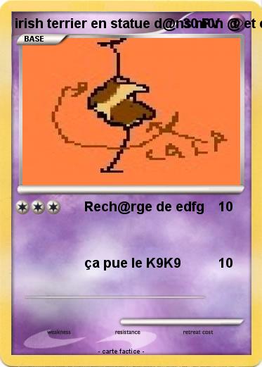 Pokemon irish terrier en statue d@ns m0n @ et coµvert de K9K9