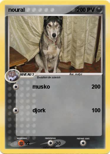 Pokemon noural