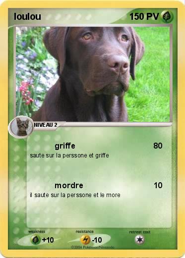 Pokemon loulou