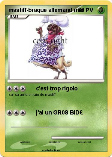 Pokemon mastiff-braque allemand mix