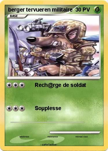 Pokemon berger tervueren militaire