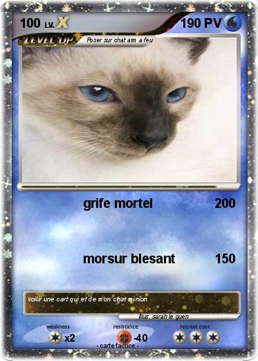 Pokemon 100