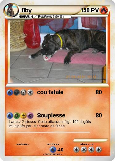 Pokemon fiby