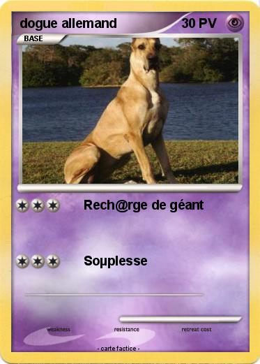 Pokemon dogue allemand