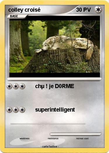 Pokemon colley croisé