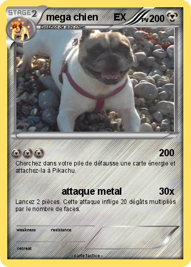 Pokemon mega chien      EX