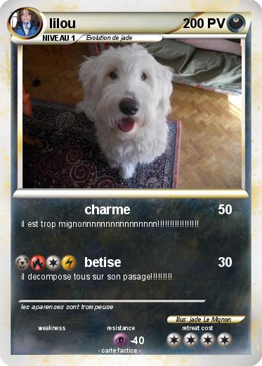Pokemon lilou