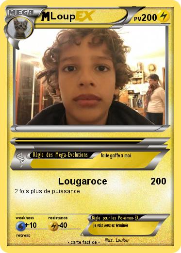 Pokemon Loup