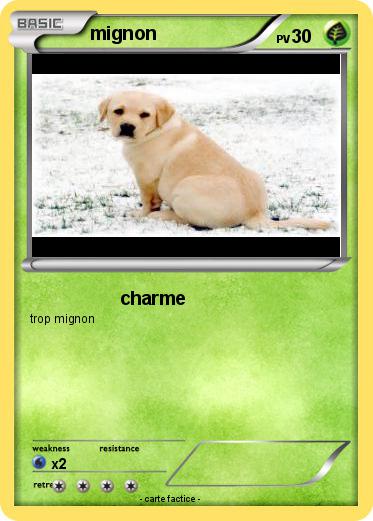 Pokemon mignon