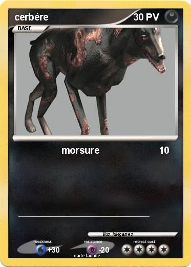 Pokemon cerbére