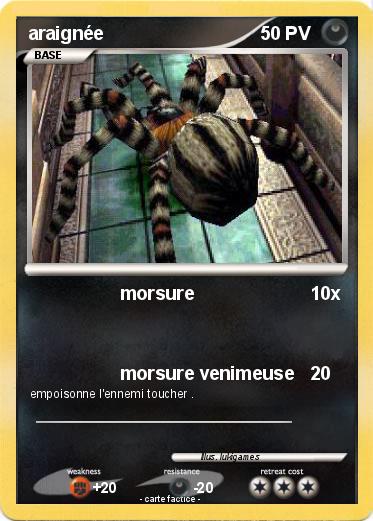 Pokemon araignée