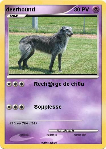 Pokemon deerhound