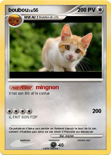 Pokemon boubou