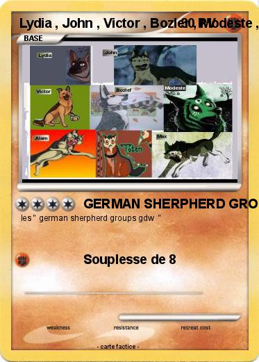 Pokemon Lydia , John , Victor , Bozler , Modeste , Alam , Totem et Max